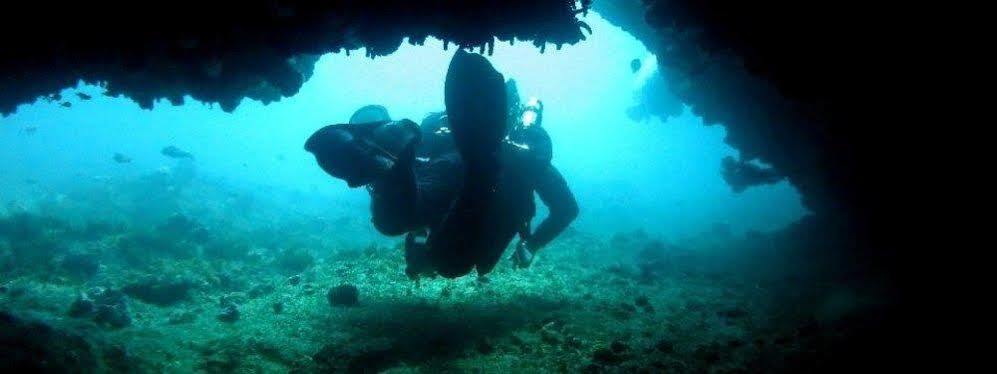 Blue Ocean Dive Resort Umkomaas Εξωτερικό φωτογραφία